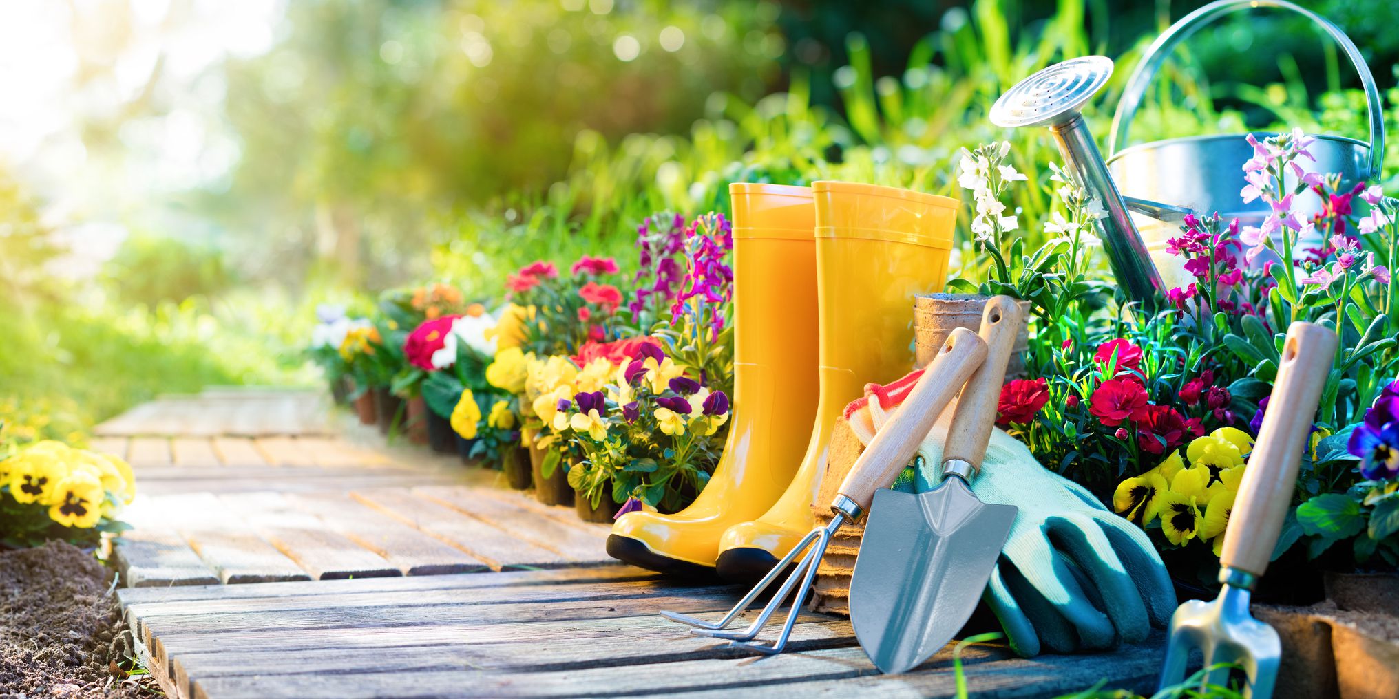 Gardening Advice - Expert Tips For a Blooming Garden